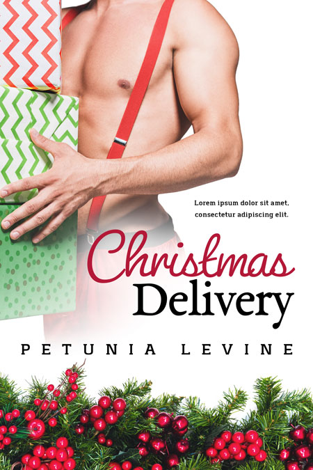 Christmas Delivery