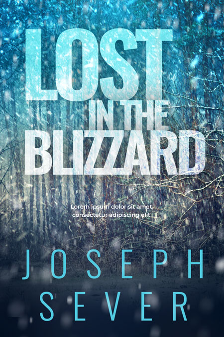 Lost in the Blizzard