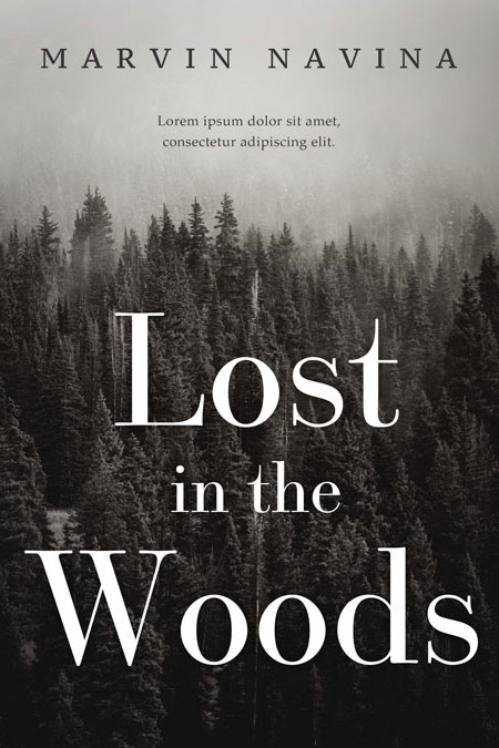 Lost In The Woods