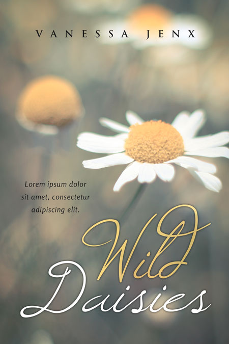 Wild Daisies