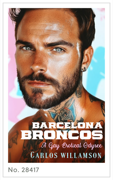Premade cover 28417