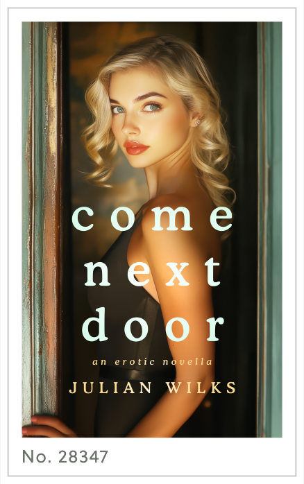 Premade cover 28347