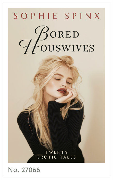 Premade cover 27066