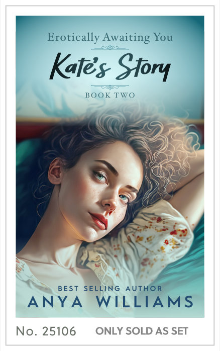 Premade cover 25106