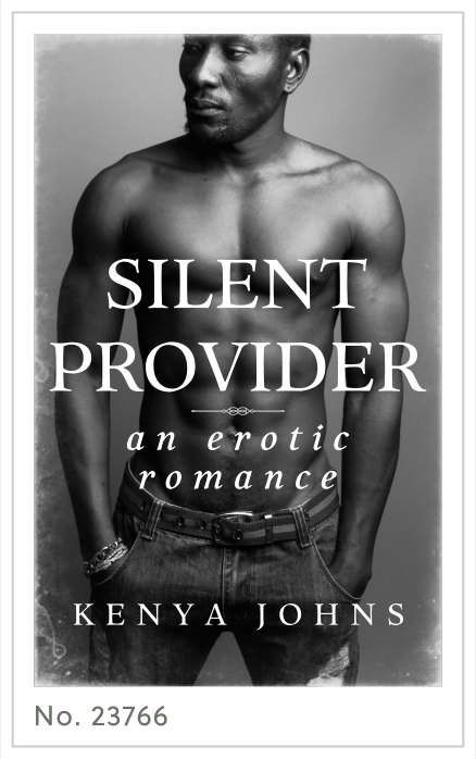 Premade cover 23766