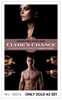 Premade cover 18076