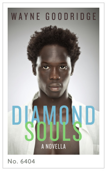 Premade cover 6404