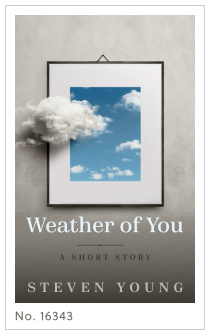 Premade cover 16343