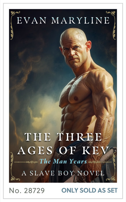Premade cover 28729