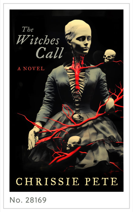 Premade cover 28169