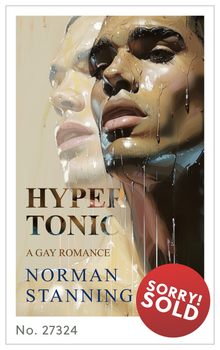 Premade cover 27324