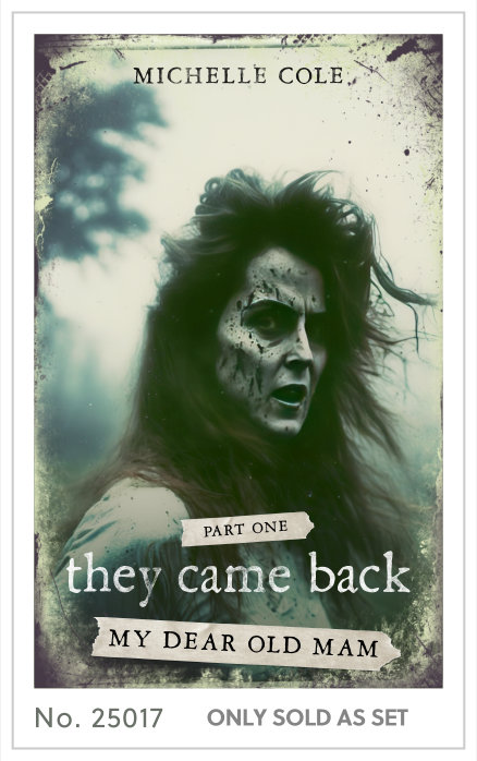 Premade cover 25017