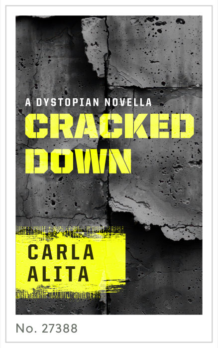 Premade cover 27388