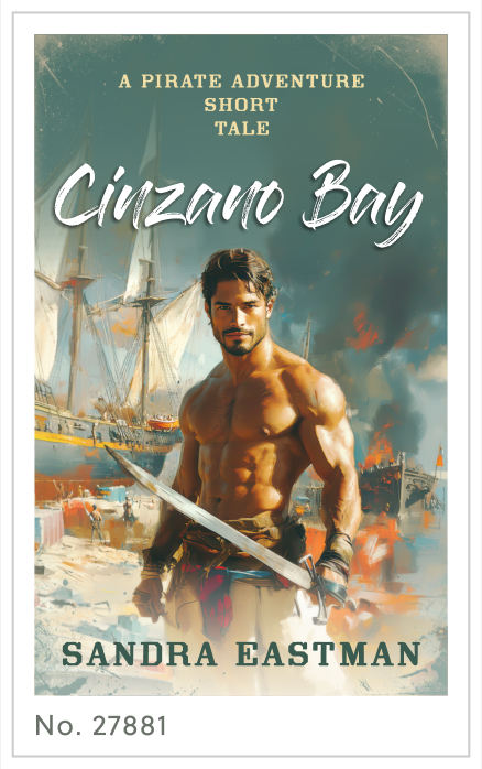 Premade cover 27881