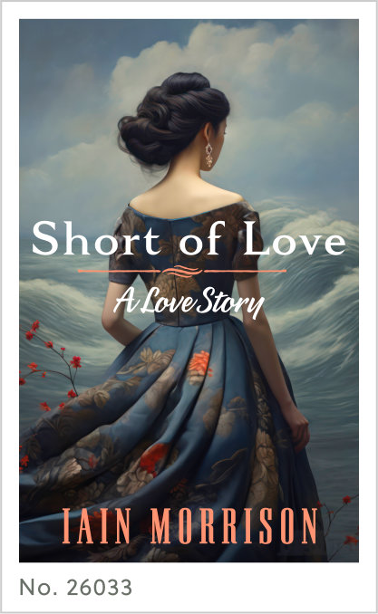 Premade cover 26033