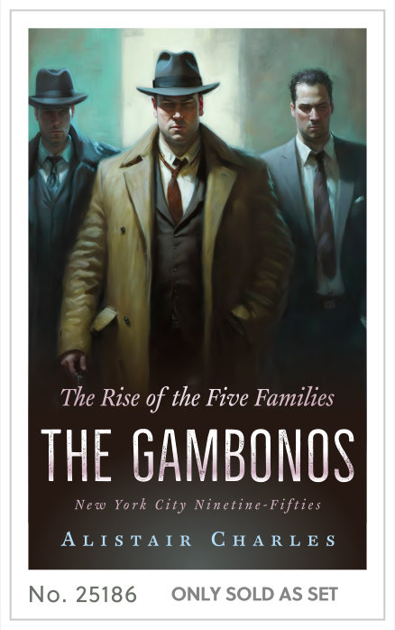 Premade cover 25186