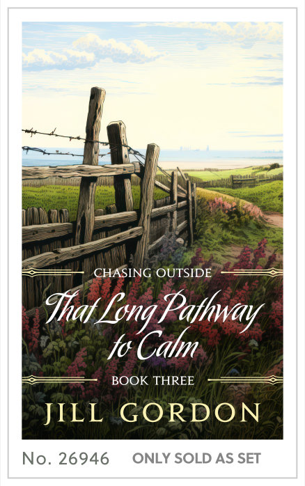 Premade cover 26946