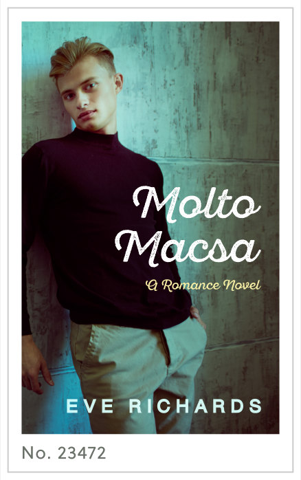 Premade cover 23472