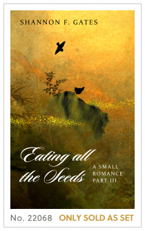 Premade cover 22068