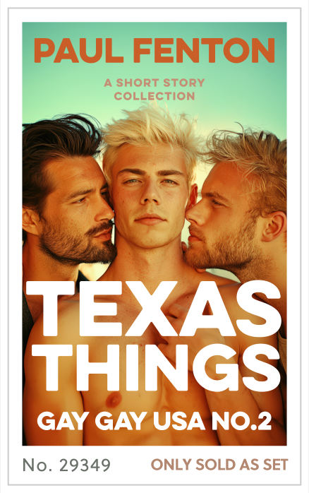 Premade cover 29349