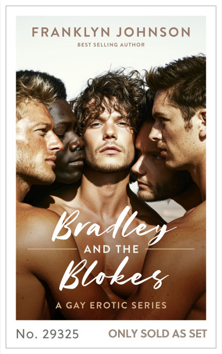 Premade cover 29325