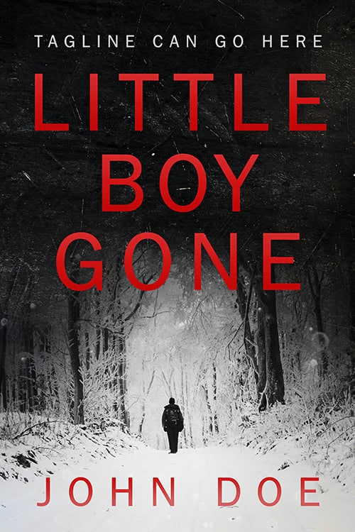Little Boy Gone
