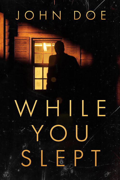 While You Slept