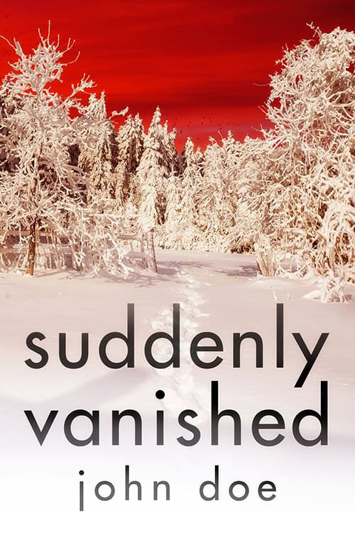 Suddenly Vanished