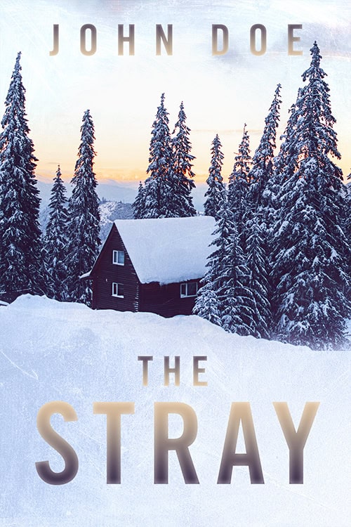 The Stray