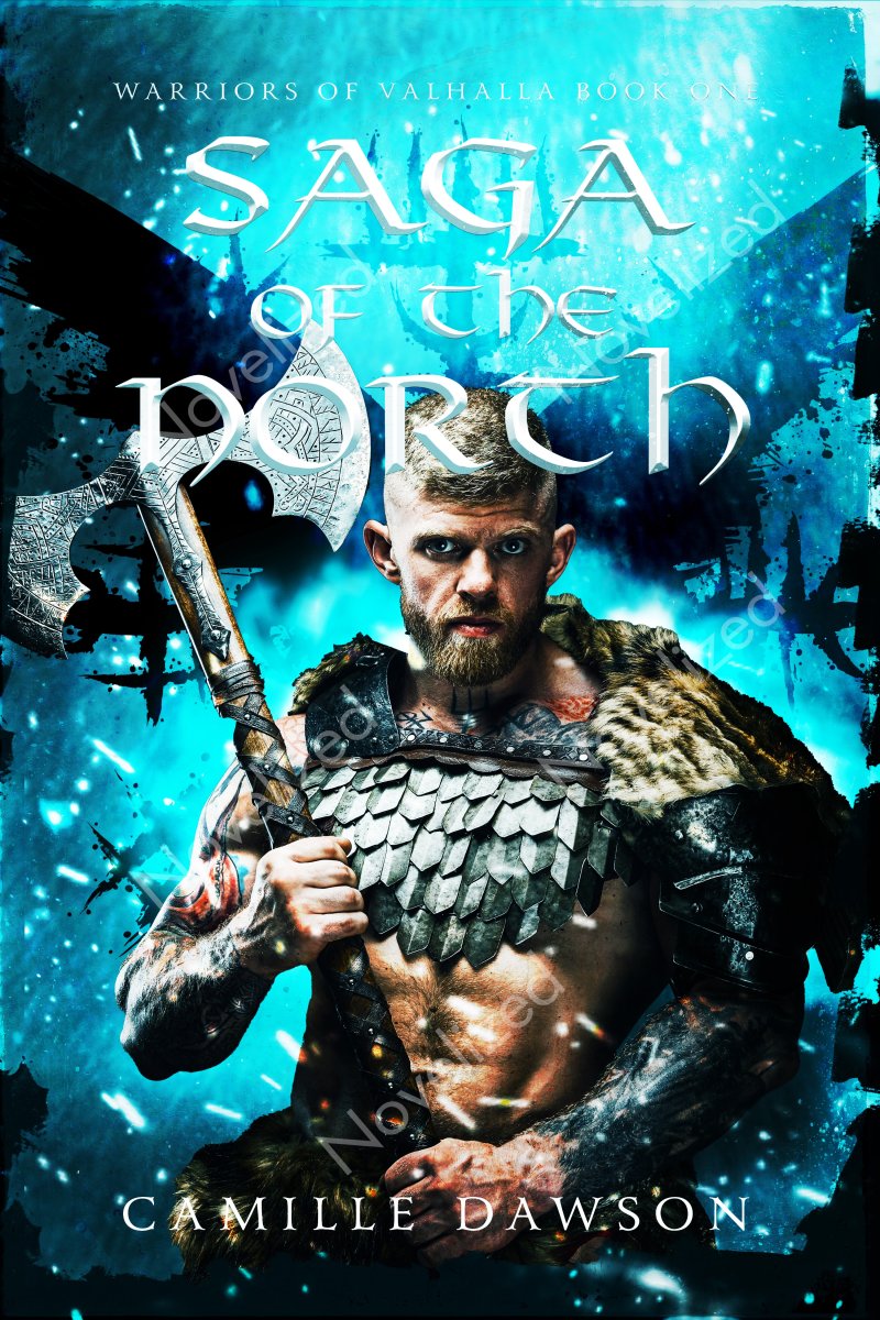Saga of the North