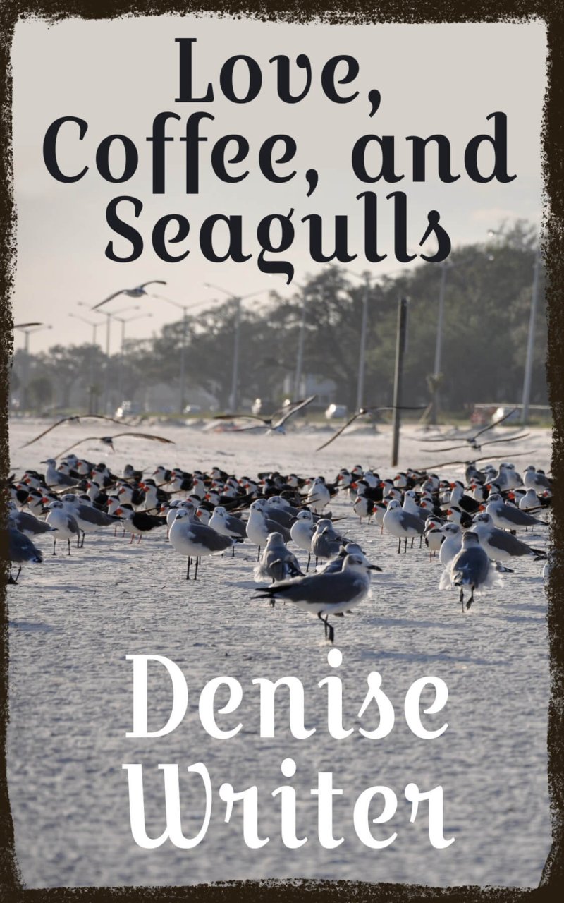 Love, coffee, seagulls – Beach in Biloxi