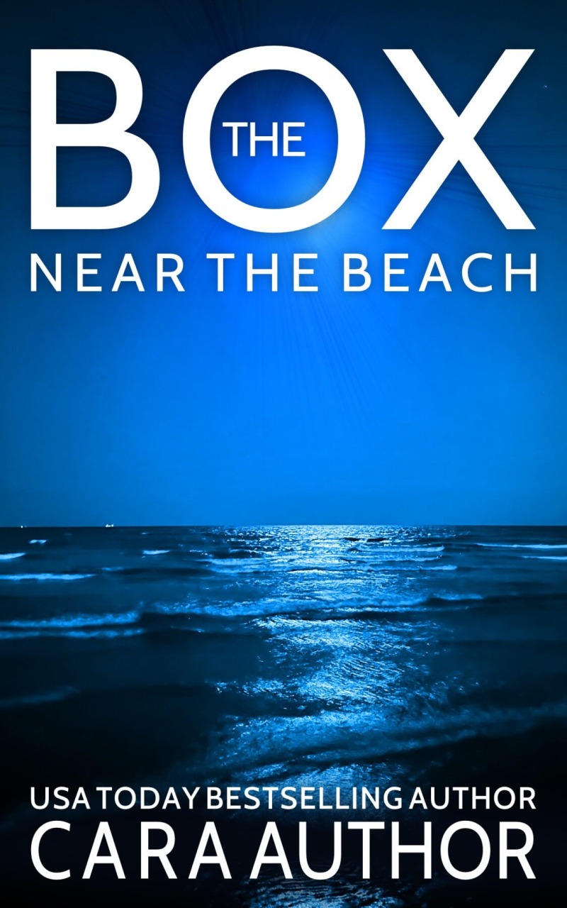 Box Near the Beach – The Ocean at Night in the Moonlight