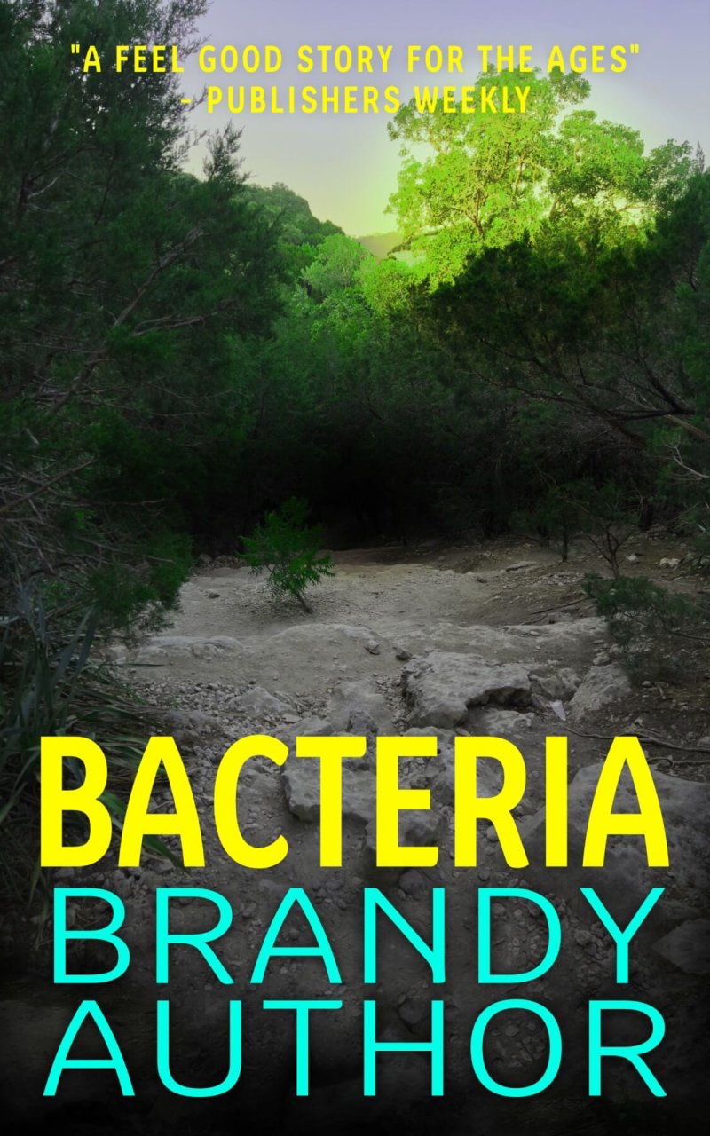 Bacteria