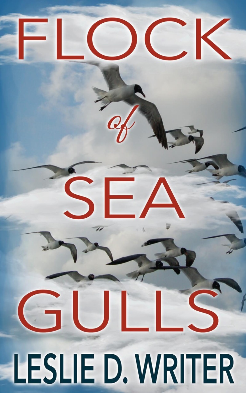 Flock of Seagulls