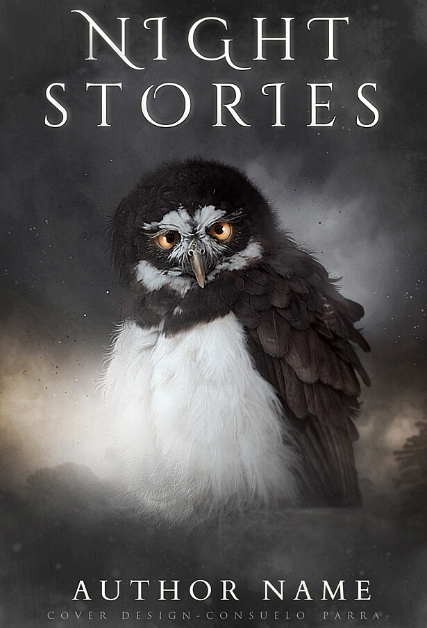 Night stories