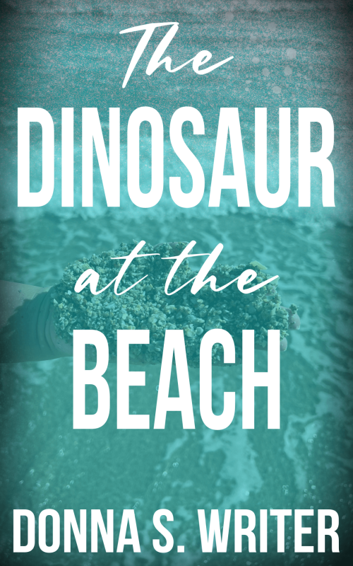 Dinosaur Beach