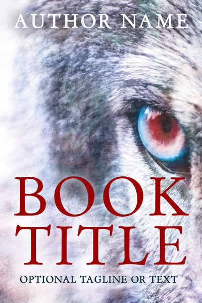 Book Cover 333