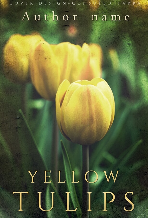 Yellow tulips