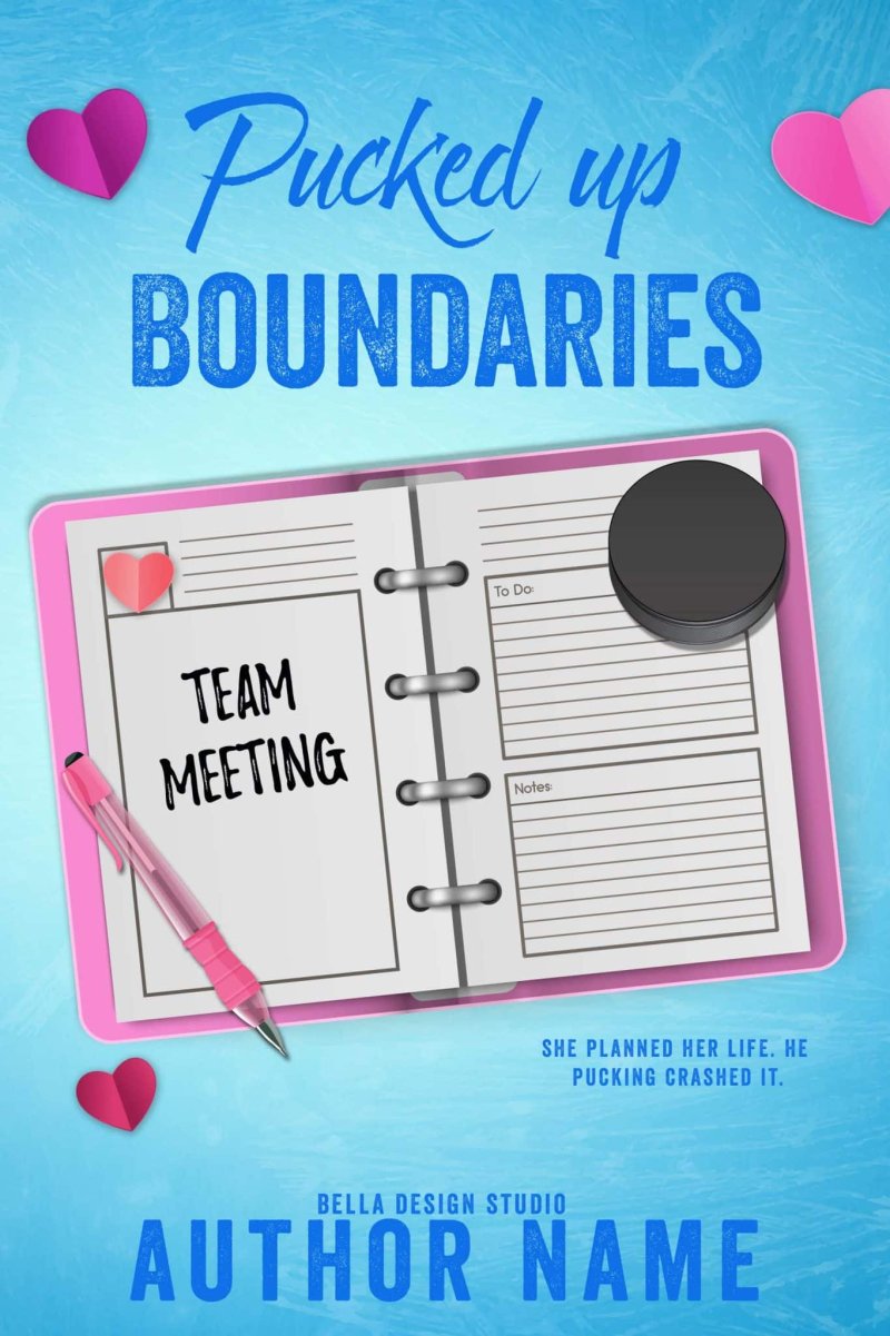 Puck up boundaries