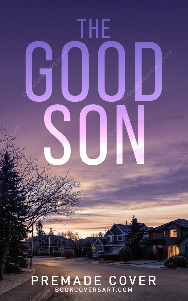 The Good Son